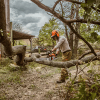 Motosega Stihl MS 261 C-M - immagine 2