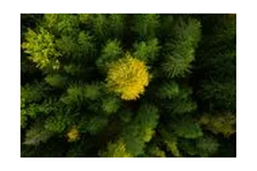 decespugliatore husqvarna 325irj decespugliatore elettrico senza emissioni