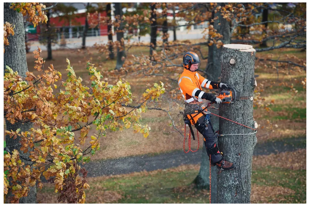 motosega husqvarna 550i xp avviamento ottimizzato e controllo intelligente motosega husqvarna 550i xp avviamento ottimizzato e controllo intelligente